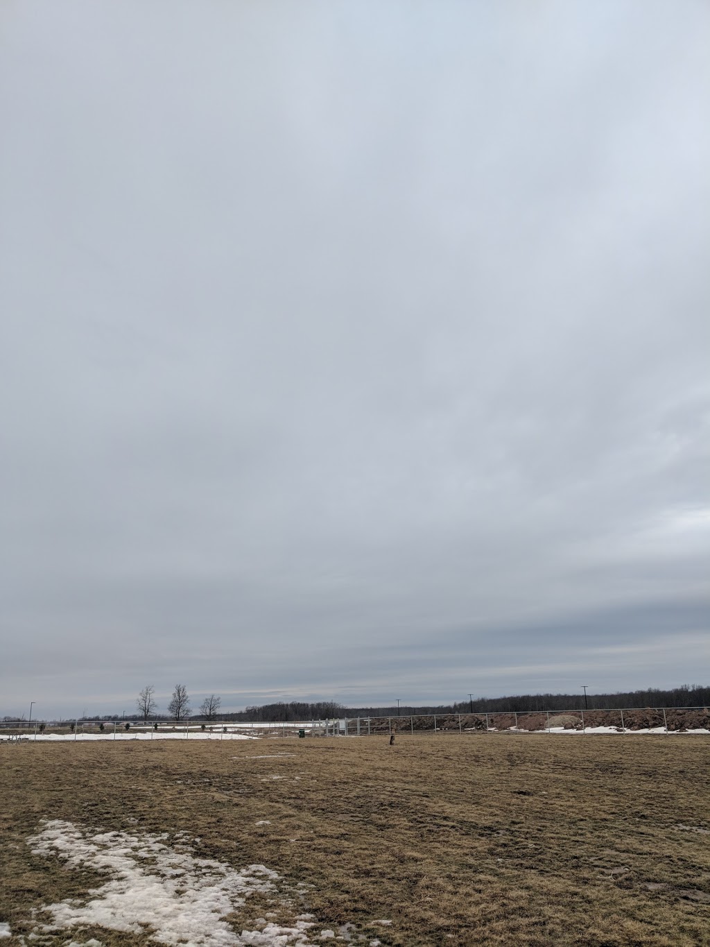 Southward Community Park | 84 Mud St W, Grassie, ON L0R 1M0, Canada | Phone: (905) 945-1288