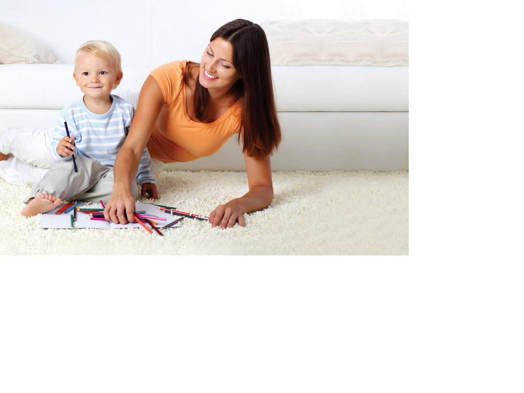 Sears Carpet & Upholstery Cleaning | 1565 N Routledge Park, London, ON N6H 5L6, Canada | Phone: (519) 652-9758