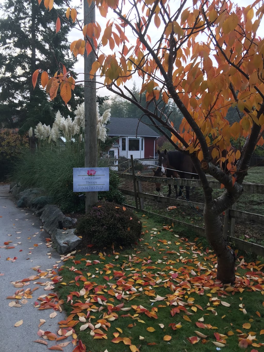 Carrie’s Laser Therapy Inc | 7953 Connor Rd, Halfmoon Bay, BC V0N 1Y1, Canada | Phone: (604) 740-7552