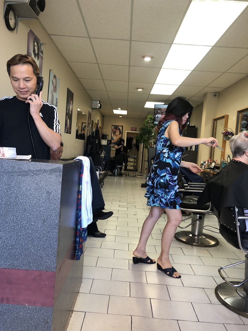 Tân Mỹ Garders Hair Salon | hair care | 2223A Jane St, North York, ON M3M 1A5, Canada | 4162494753 OR +1 416-249-4753