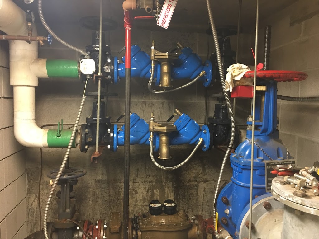Big Dawg Plumbing & Backflow LLC | 4668 Wilson Dr, Hamburg, NY 14075, USA | Phone: (716) 249-2595