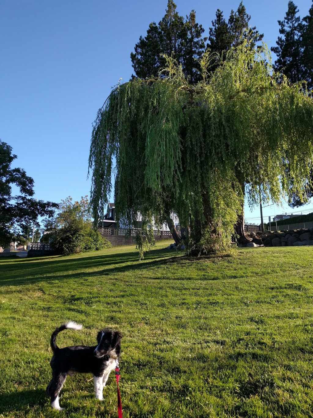 Hume Park | 660 E Columbia St, New Westminster, BC V3L 3Y2, Canada | Phone: (604) 521-3711