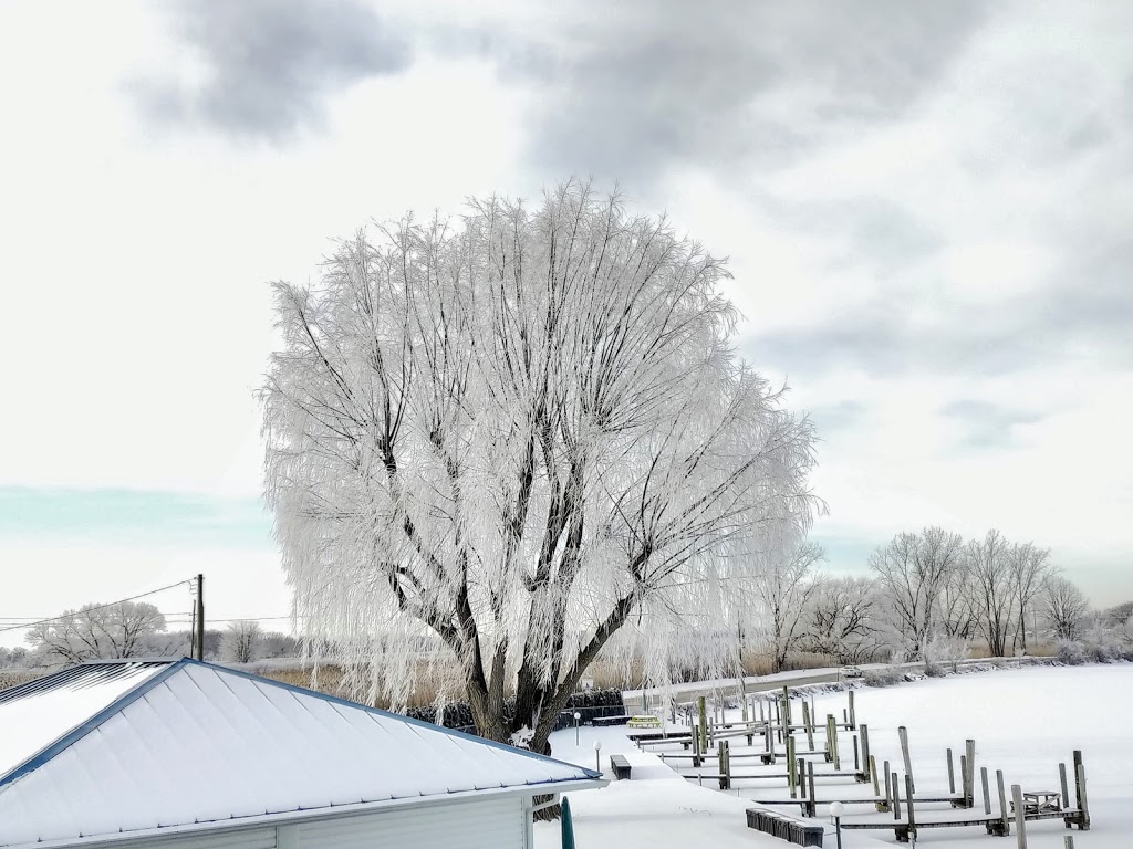 River Bend Marina | 31635 S River Rd, Harrison Charter Township, MI 48045, USA | Phone: (586) 484-6500