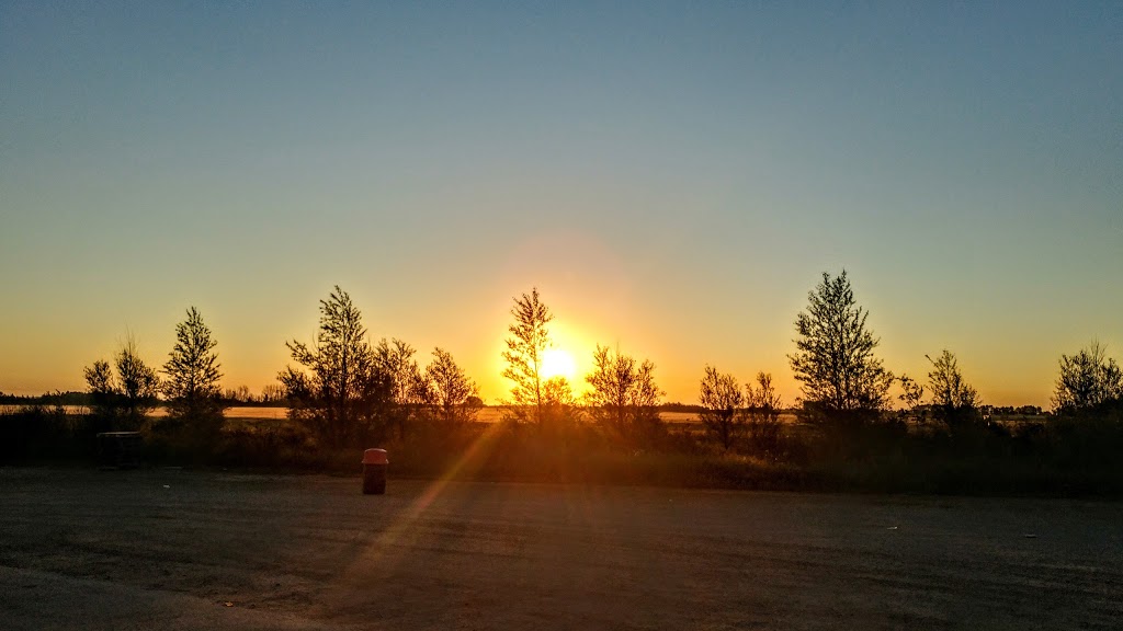 Shell | 41 SK-41, Wakaw, SK S0K 4P0, Canada | Phone: (306) 233-5551