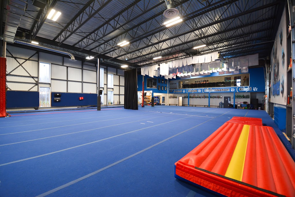 Division Cheerleading Coyotes | 50 Av. Liberté, Candiac, QC J5R 6X1, Canada | Phone: (450) 633-2433