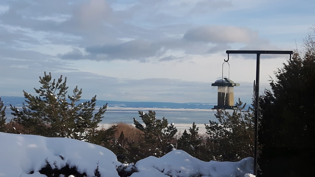 Parc Jordan | Avenue Turcotte, Sainte-Marie, QC G6E 3E6, Canada