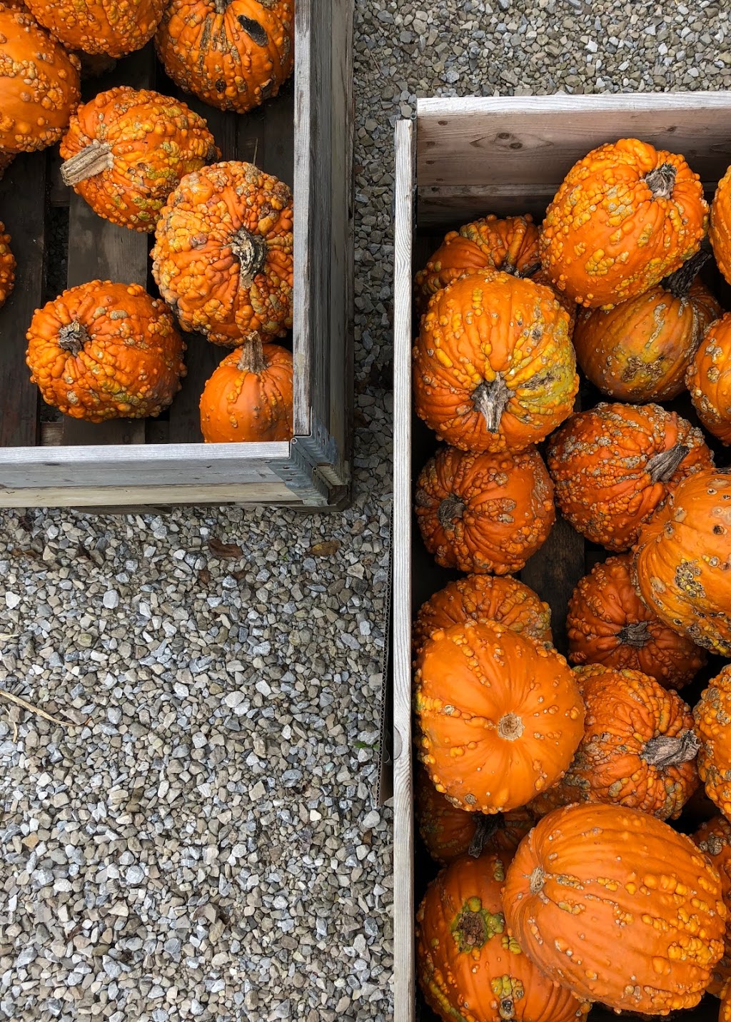 Maillouxs Farm Fresh | 500 Alma St, Amherstburg, ON N9V 2Y9, Canada | Phone: (519) 819-6192