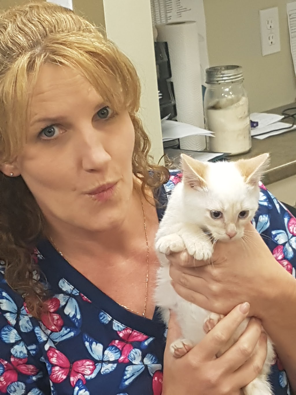 Almonte Veterinary Services | 10 Industrial Dr, Almonte, ON K0A 1A0, Canada | Phone: (613) 256-3443