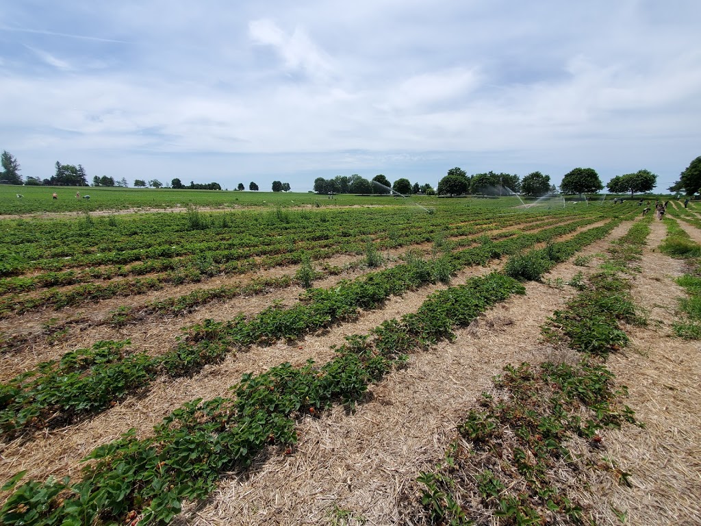 Vivian Woods | 18846 York Durham Line, Mount Albert, ON L0G 1M0, Canada | Phone: (905) 830-3080