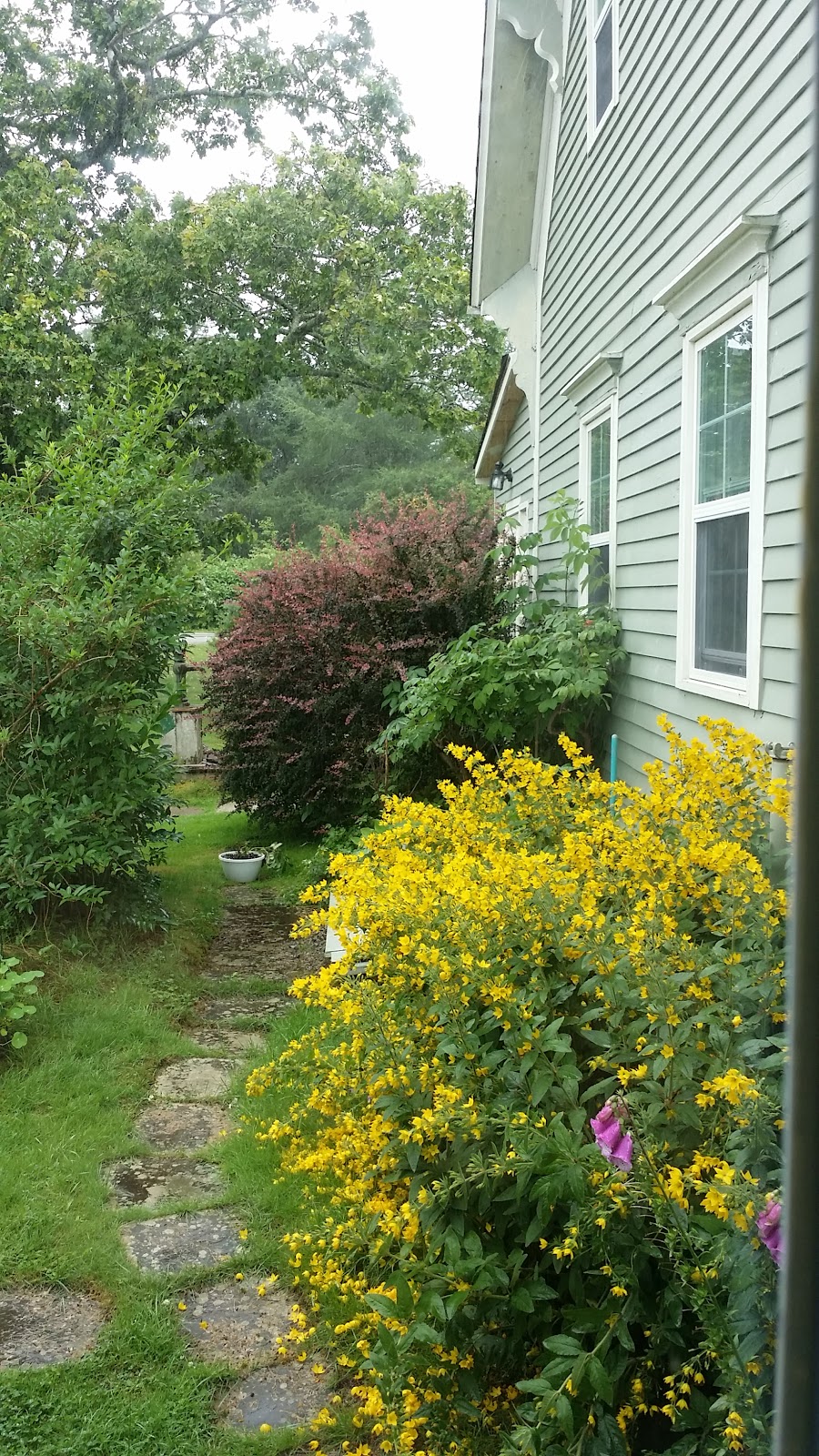Sandpipers rest B & B | 15 Marys Point Rd, Harvey, NB E4H 2M5, Canada | Phone: (506) 882-2744
