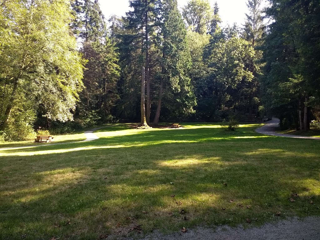 Tynehead Dog Park | 10017 168 St, Surrey, BC V4N 4B5, Canada | Phone: (604) 520-6442