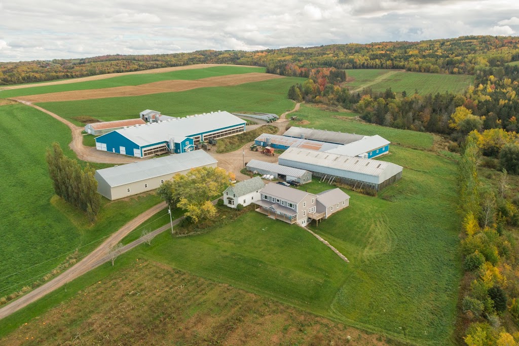 Reimer Construction | 3917 NS-221, Welsford, NS B0P 1E0, Canada | Phone: (902) 440-9416