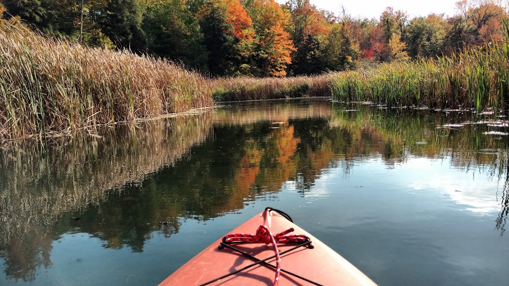 New Lowell Campground | 2894 Hogback Rd, New Lowell, ON L0M 1N0, Canada | Phone: (705) 424-2942