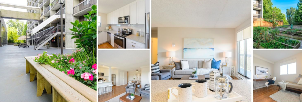 Surrey Village | 9835 King George Blvd, Surrey, BC V3T 5H6, Canada | Phone: (604) 496-0836