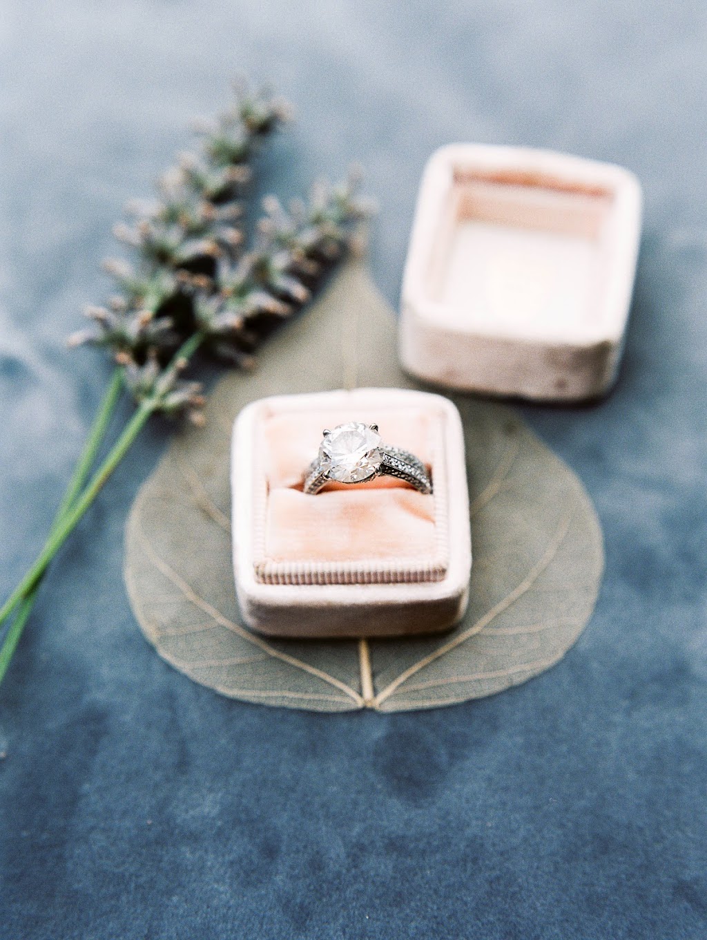 1486 Photography | 1402 Queen St W, Alton, ON L7K 0C3, Canada | Phone: (416) 606-3251
