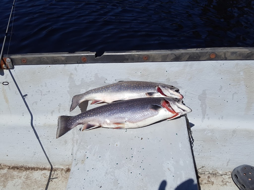Pourvoirie Du Lac-george | 90 Chem. du Lac-Georges, Sainte-Anne-du-Lac, QC J0W 1V0, Canada | Phone: (819) 440-7086
