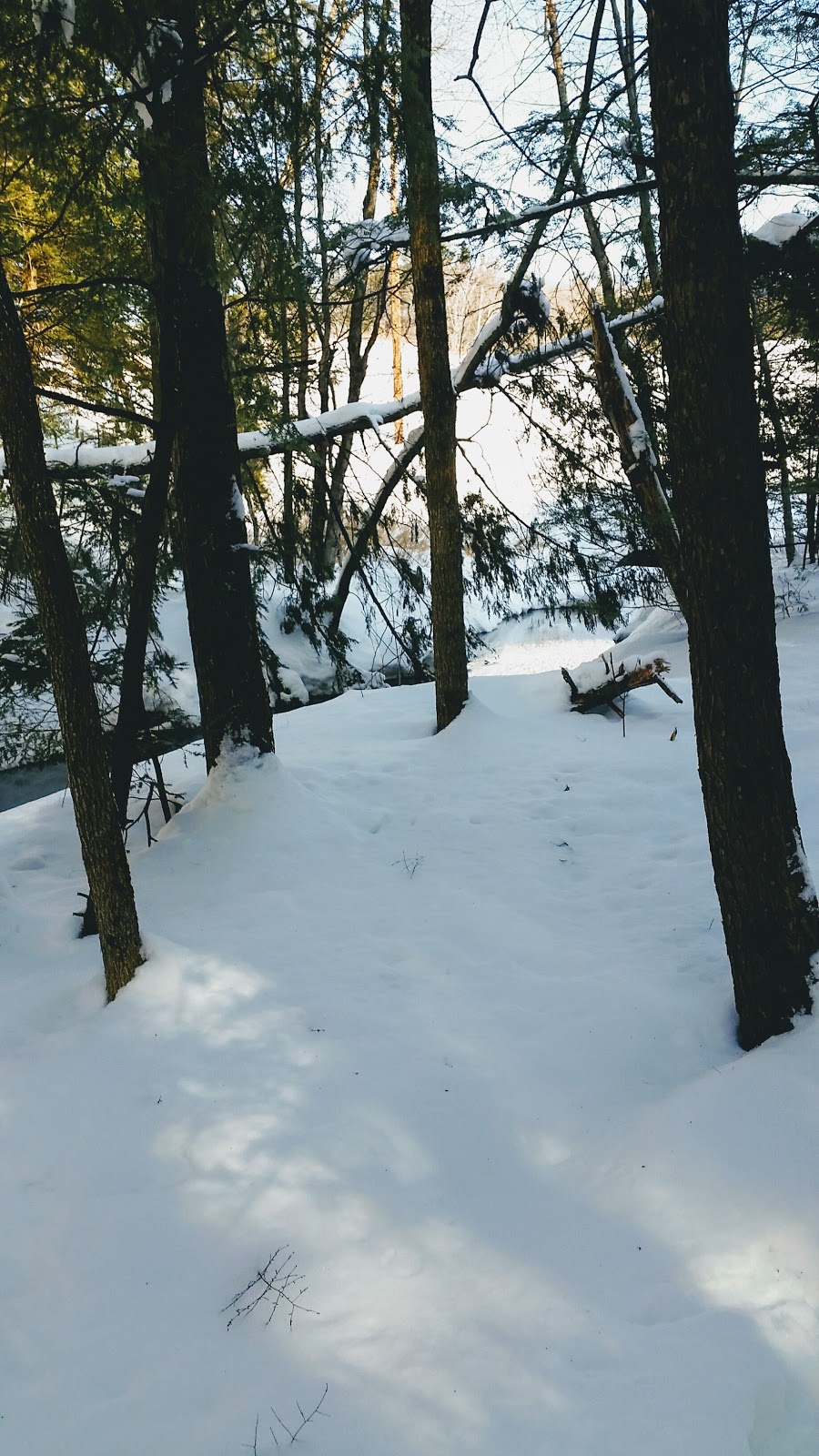 Parc des Saules | 499 Rue Archambault, Mascouche, QC J7L, Canada | Phone: (450) 474-4133