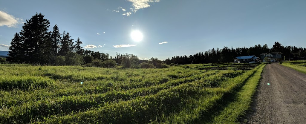 Boundary RV Park | AB-591, Caroline, AB T0M 0M0, Canada | Phone: (403) 722-2014