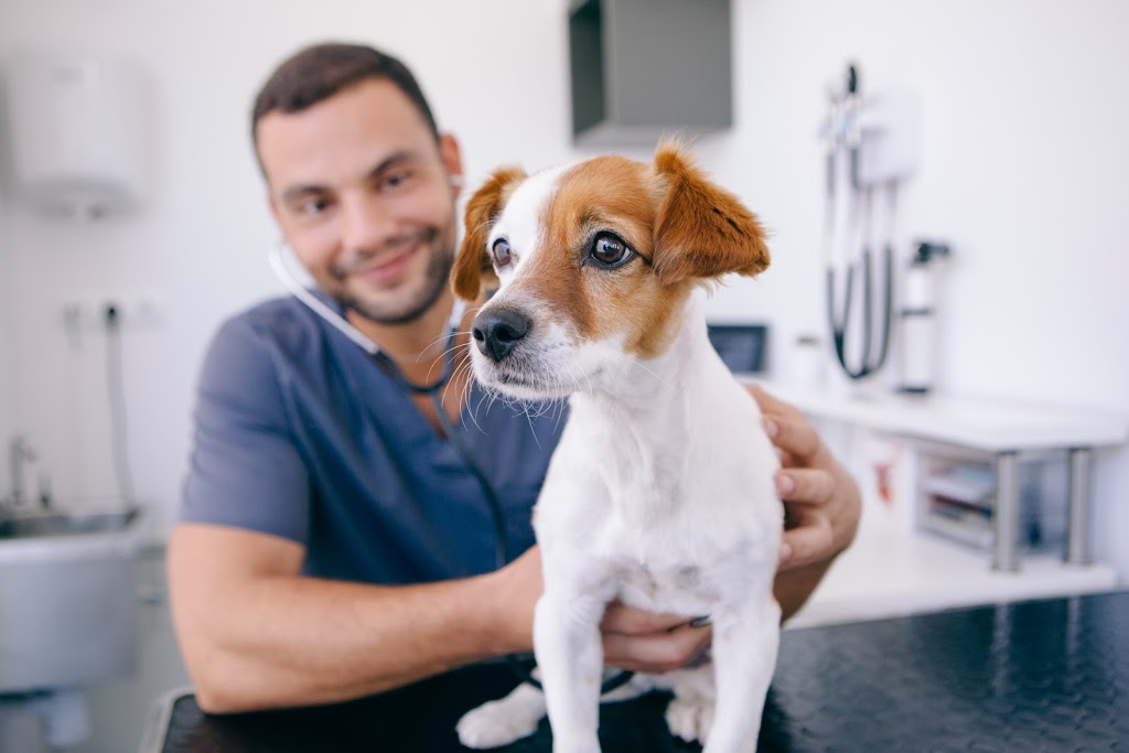 Sunshine Valley Veterinary Medical Centre | 140 Main St #1, Sussex, NB E4E 3E6, Canada | Phone: (506) 433-2200