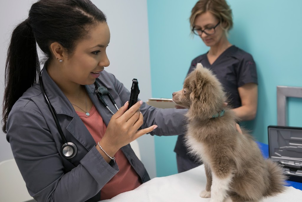 Nolan Hill Veterinary Hospital | 8 Nolan Hill Blvd NW #102, Calgary, AB T3R 0X2, Canada | Phone: (403) 475-6484