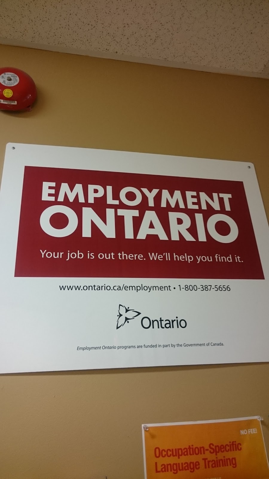 Humber College Community Employment Services | 1345 St Clair Ave W, Toronto, ON M6E 1C3, Canada | Phone: (416) 654-5566