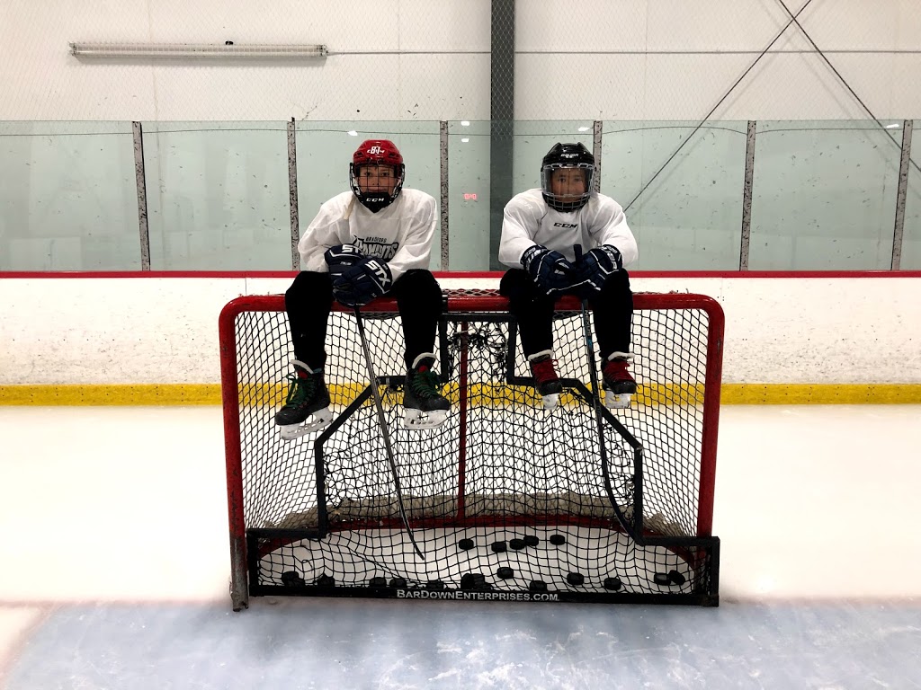 The Academy Of Hockey - Hockey Training (On & Off-Ice Training,  | 650 Edward Ave, Richmond Hill, ON L4C 0S1, Canada | Phone: (905) 955-3917