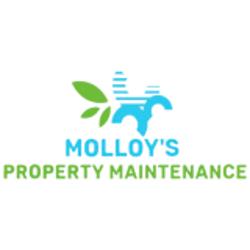 Molloys Property Maintenance | 6880 Hwy 620, WOLL, ON K0L 1P0, Canada | Phone: (613) 337-5745
