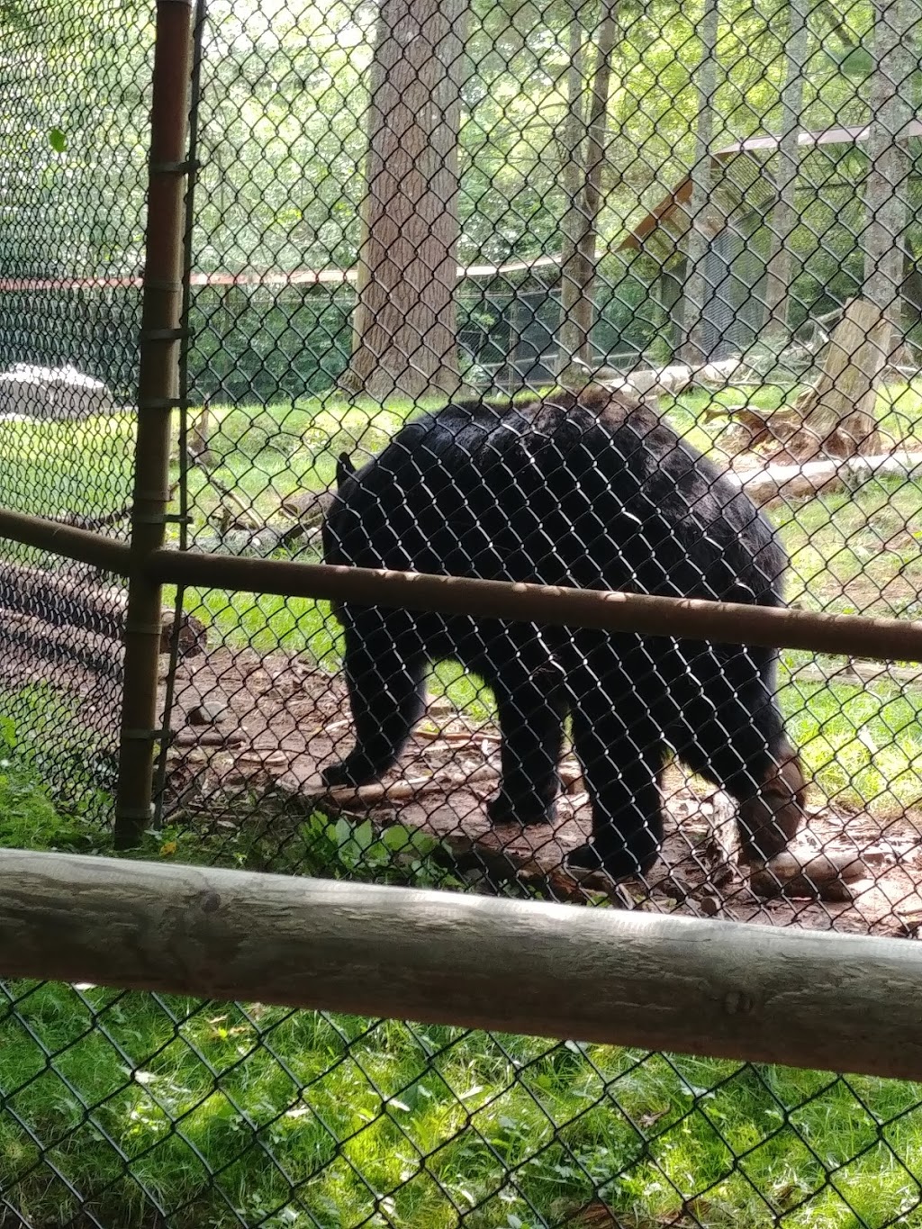 Shubenacadie Provincial Wildlife Park | 149 Creighton Rd, Shubenacadie, NS B0N 2H0, Canada | Phone: (902) 758-2040