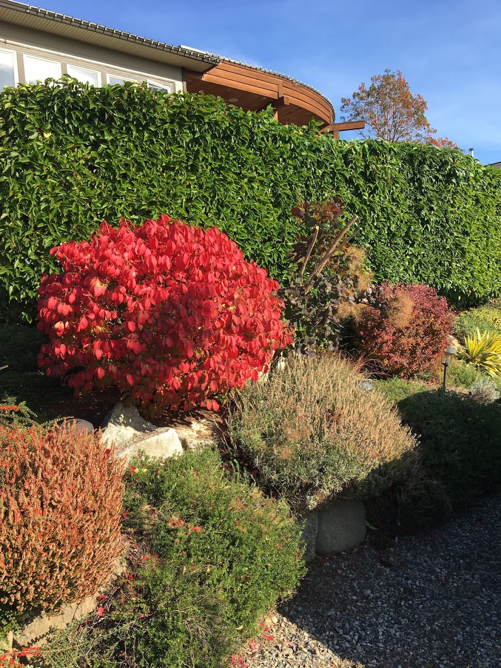 Comox Valley Lawn Care | 1609 Birch Ave, Comox, BC V9M 2C5, Canada | Phone: (250) 218-2596