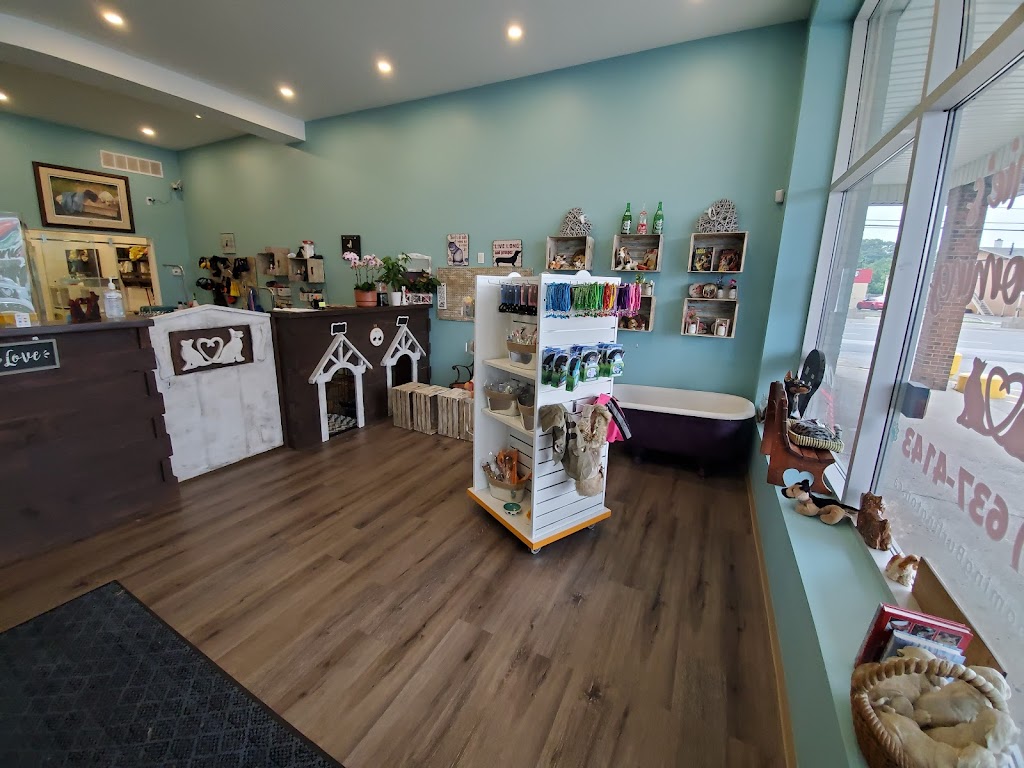 Stephanies Pet Grooming | 451 Guelph Line, Burlington, ON L7R 3L8, Canada | Phone: (905) 637-4143