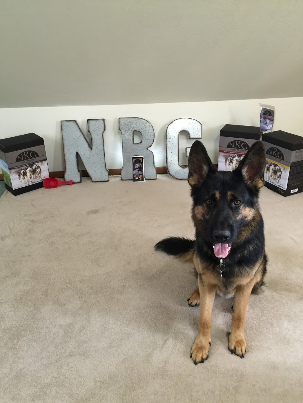N-R-G Pet Products Ltd | 4781 Mcleery Rd, Armstrong, BC V0E 1B3, Canada | Phone: (250) 546-8969