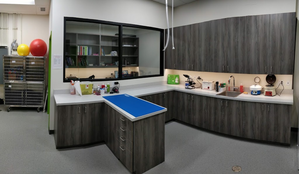 Legacy Veterinary Clinic | 1625 210 Ave SE #106, Calgary, AB T2X 4K8, Canada | Phone: (587) 625-0748