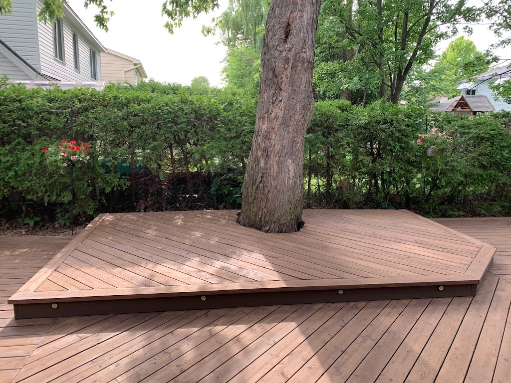 clear-cut-painting-12-beechgrove-gardens-ottawa-on-k2s-1w5-canada