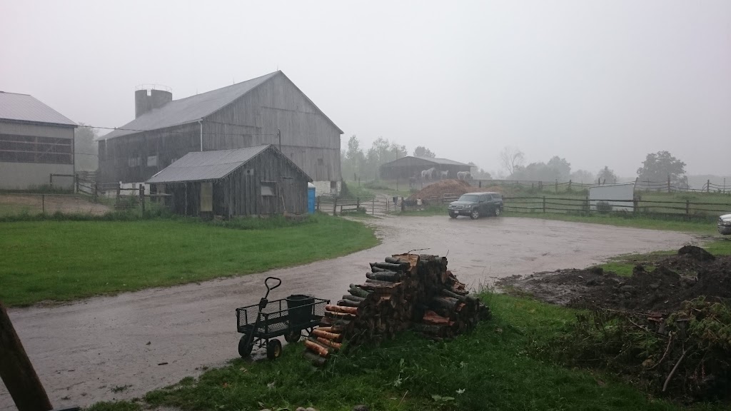 Northfield Farm | 8368 ON-7, Rockwood, ON N0B 2K0, Canada | Phone: (519) 856-1434