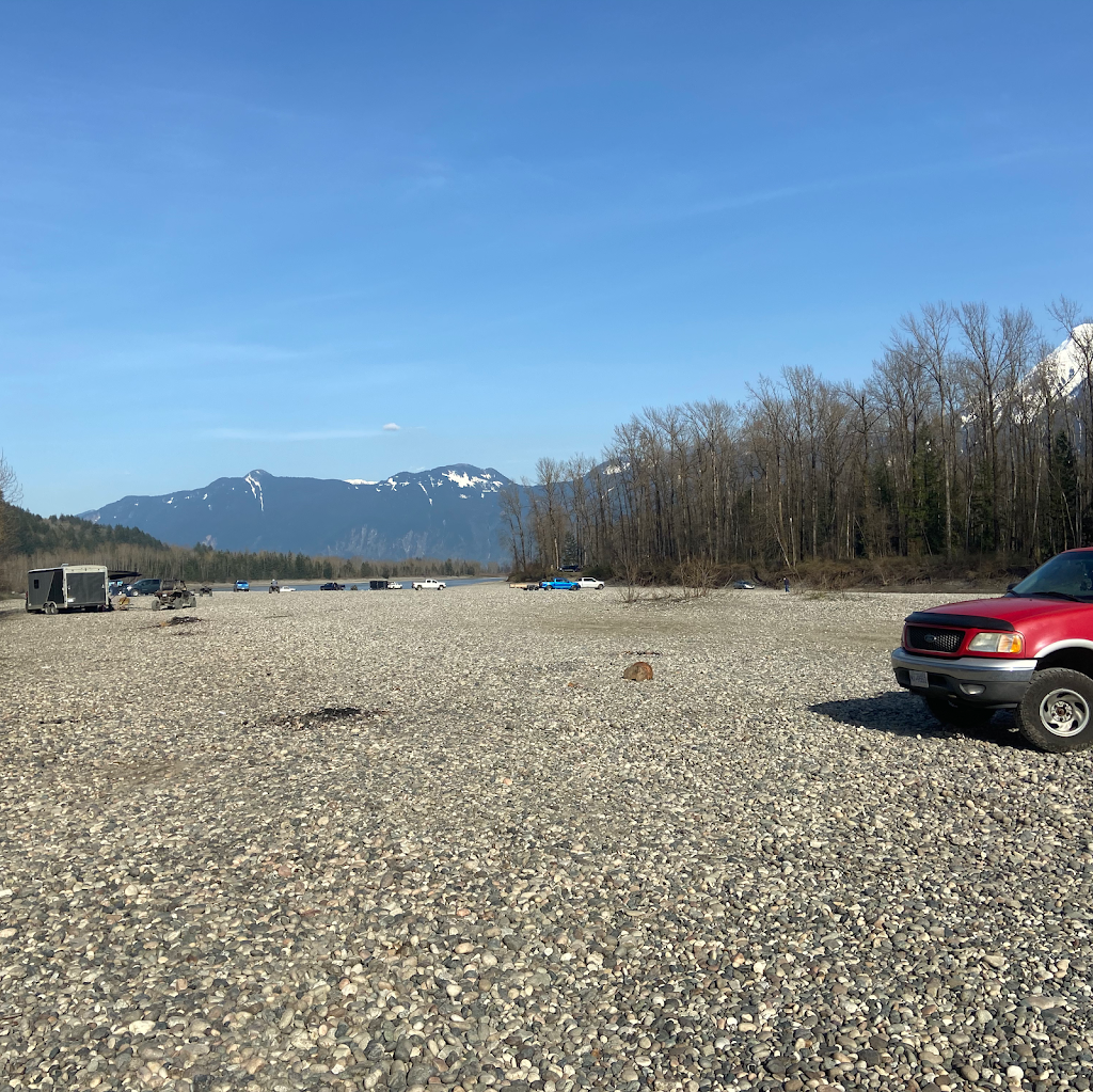 Knutts Pest and Wildlife Control | 46649 Balsam Ave, Chilliwack, BC V2P 6P6, Canada | Phone: (604) 997-3706