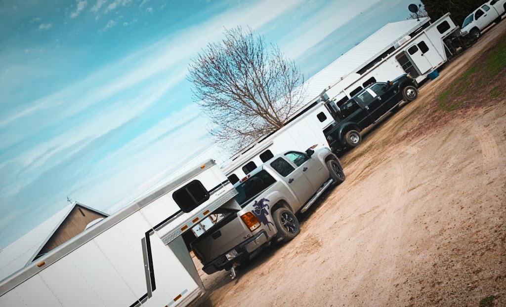 Westfall Horse Co. | 15149 Zone Centre Line, Bothwell, ON N0P 1C0, Canada | Phone: (519) 401-8939