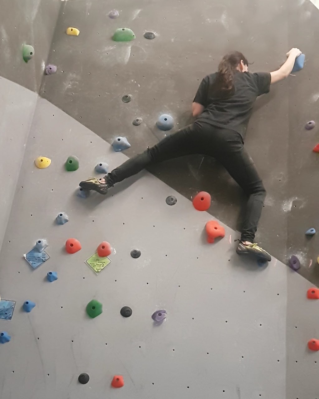 The Hangar Climbing Lounge | Bouldering Gym | 5824 Sechelt Inlet Rd, Sechelt, BC V0N 3A3, Canada | Phone: (604) 741-7221