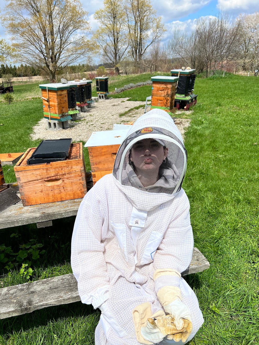 Fielding Bees | 41803 Hydro Line Rd, Seaforth, ON N0K 1W0, Canada | Phone: (519) 525-8112