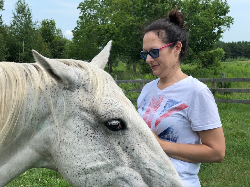 Horse Discovery | Carmel Line, Cavan-Monaghan, ON L0A 1G0, Canada | Phone: (705) 932-2244