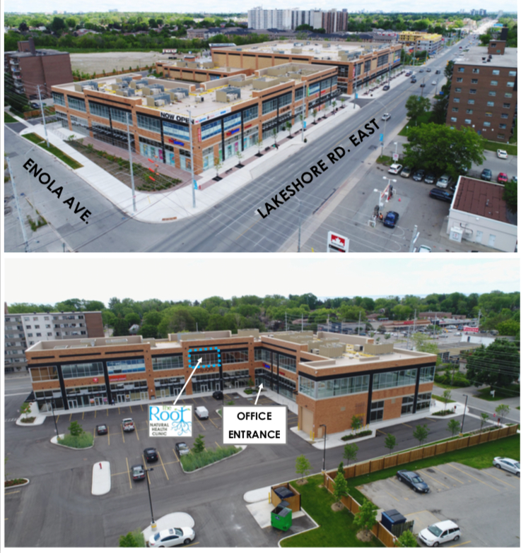 The Root Natural Health Clinic | 507 Lakeshore Rd E Unit #217, Mississauga, ON L5G 1H9, Canada | Phone: (905) 990-8100