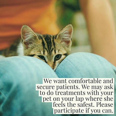 Seven Oaks Veterinary Hospital | 1832 Main St, Winnipeg, MB R2V 3H2, Canada | Phone: (204) 334-7531