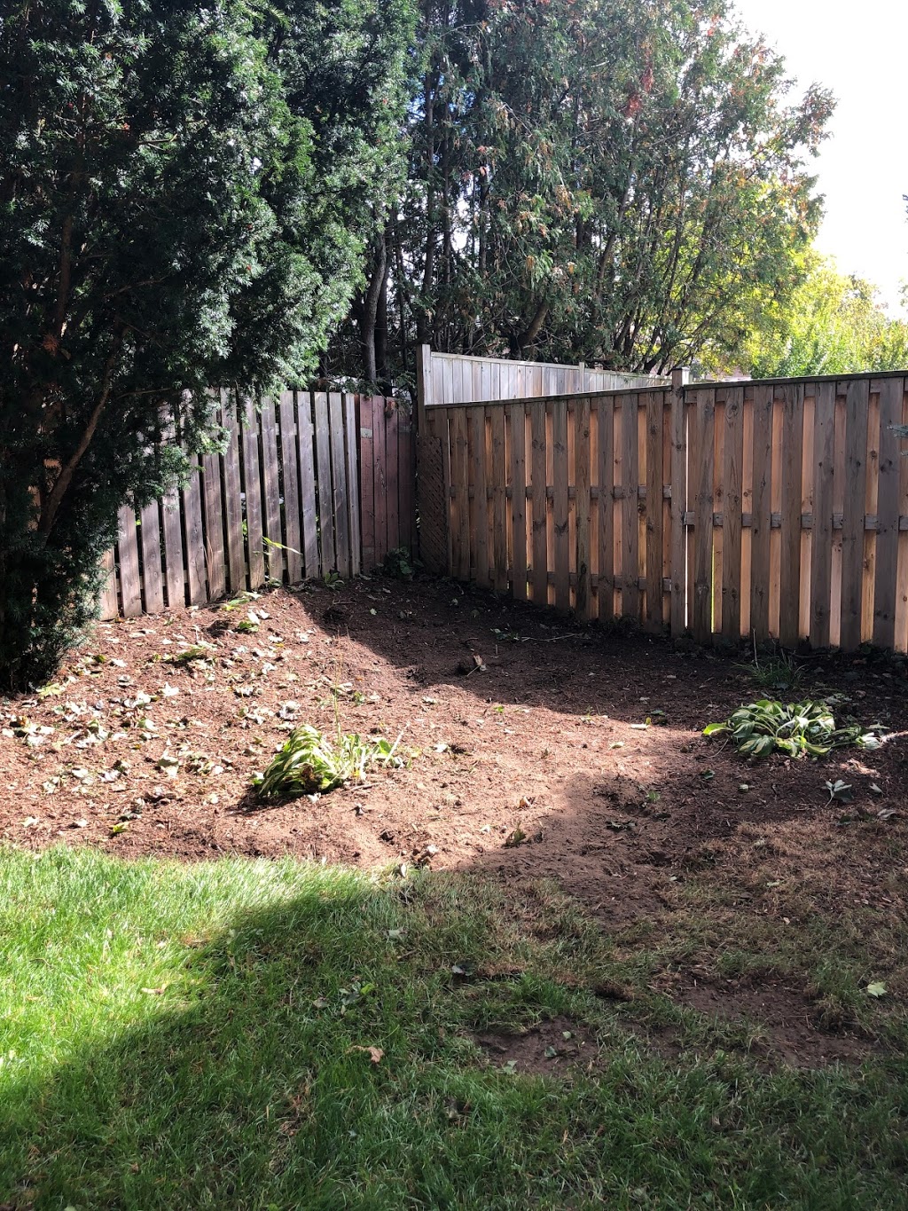 MapleGreen Tree Services | 58 Palmer Cir, Bolton, ON L7E 0A5, Canada | Phone: (416) 951-0487
