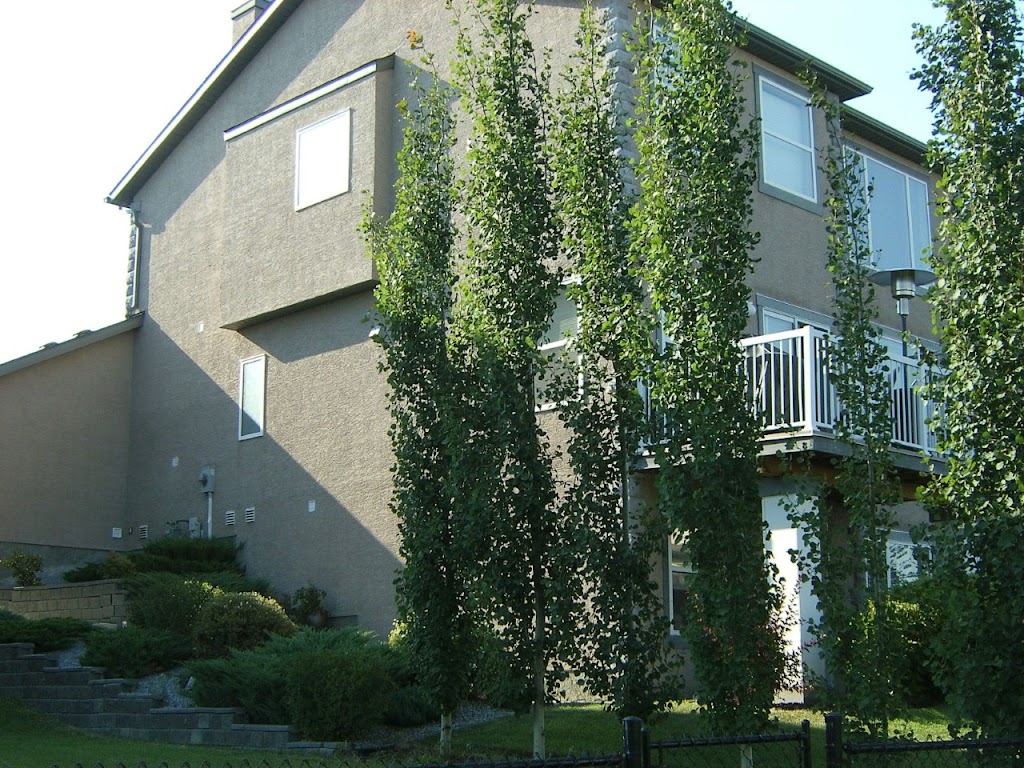 Creative Construction | 2022 31 St SW, Calgary, AB T3E 2N2, Canada | Phone: (403) 830-7928
