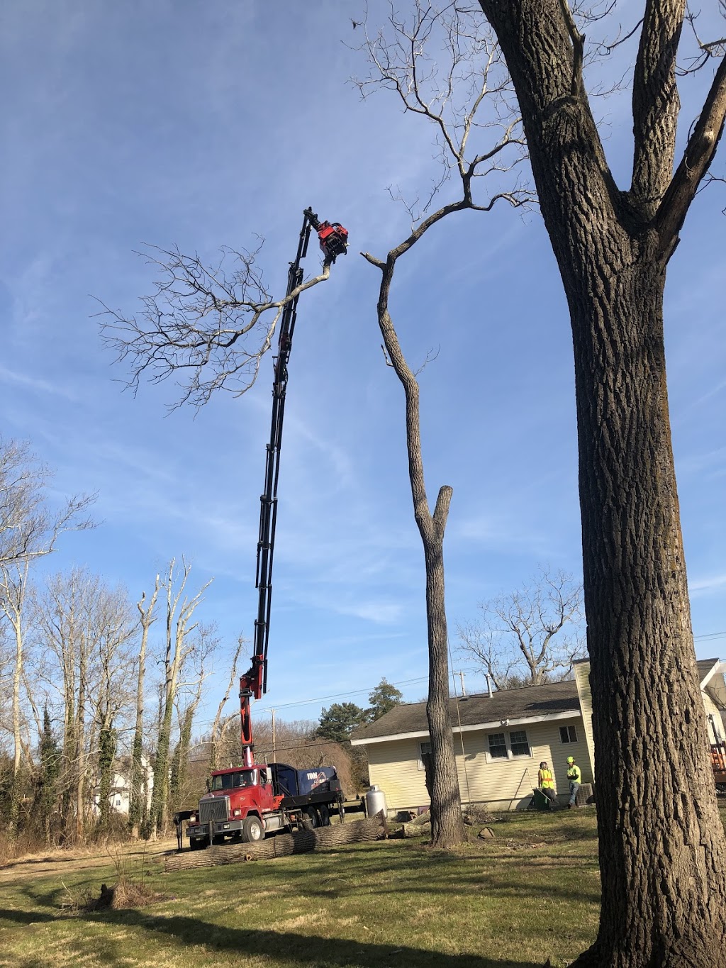 Barrie Crane & Lift | 9 Monica Ct, Coldwater, ON L0K 1E0, Canada | Phone: (705) 323-8312