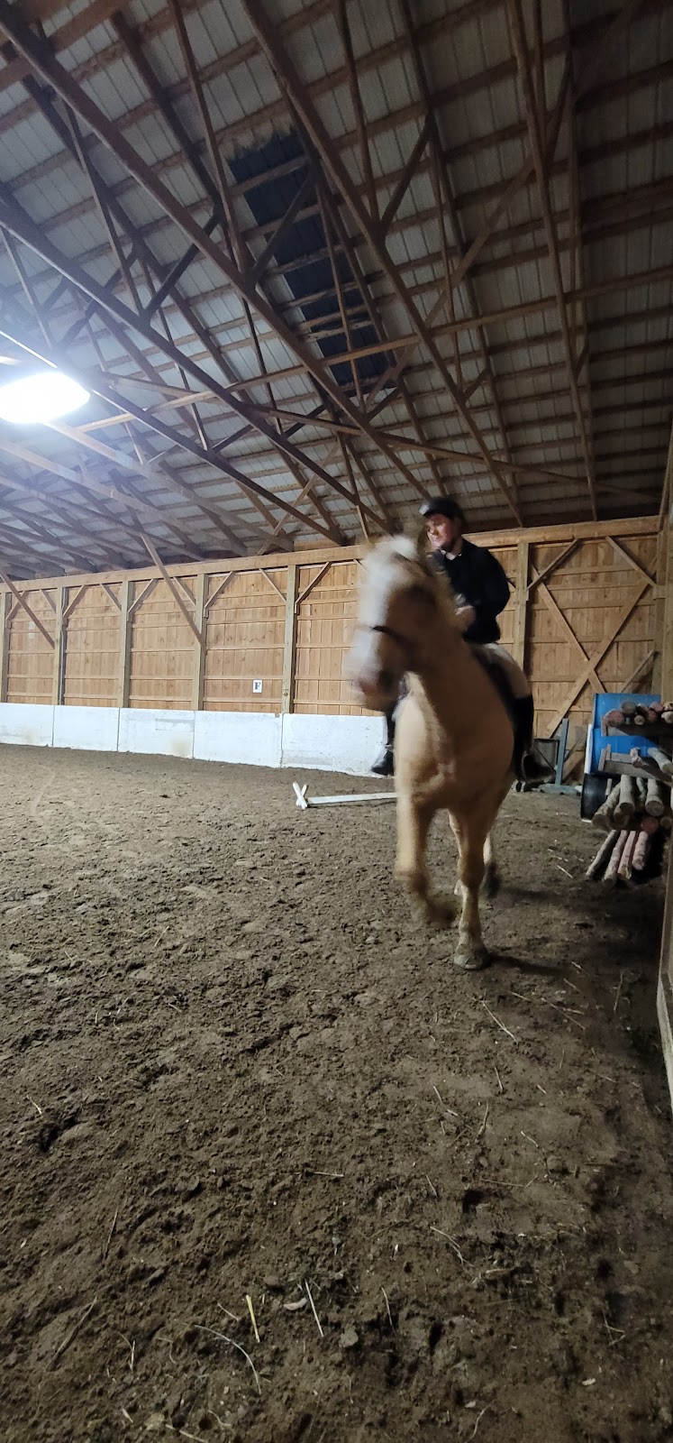 Flat Rock Farm Equestrian | 1350 Shannonville Rd, Shannonville, ON K0K 3A0, Canada | Phone: (613) 661-9028