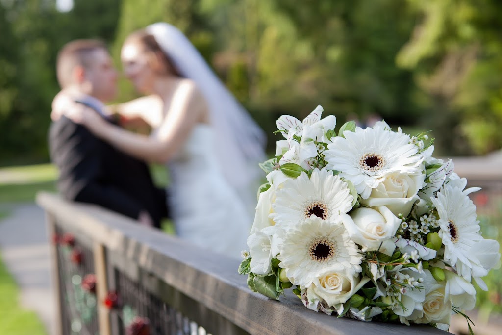 DW Photography | 13918 58 Ave, Surrey, BC V3X 3N8, Canada | Phone: (604) 999-2223