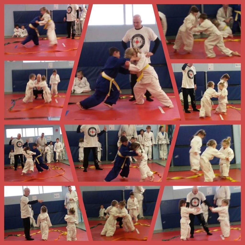 Bluewater Bushido Judo Jiu-Jitsu | 721 Earlscourt Dr #106A, Sarnia, ON N7S 1V1, Canada | Phone: (519) 333-7795