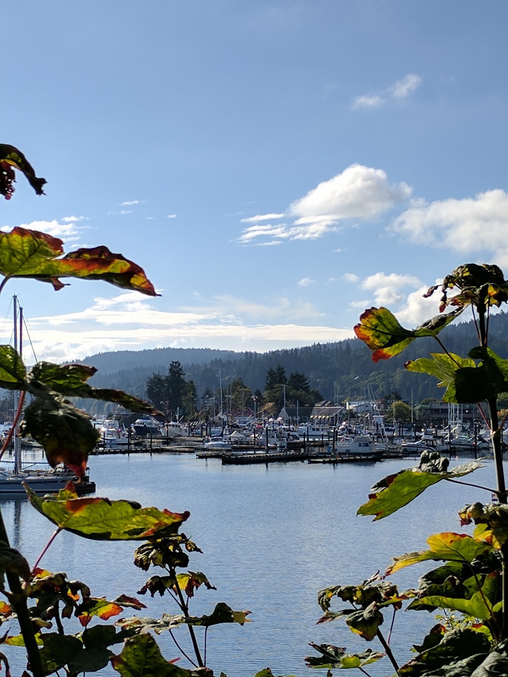 Salt Spring Car Rental | 124 Upper Ganges Rd, Salt Spring Island, BC V8K 2S2, Canada | Phone: (250) 537-3122