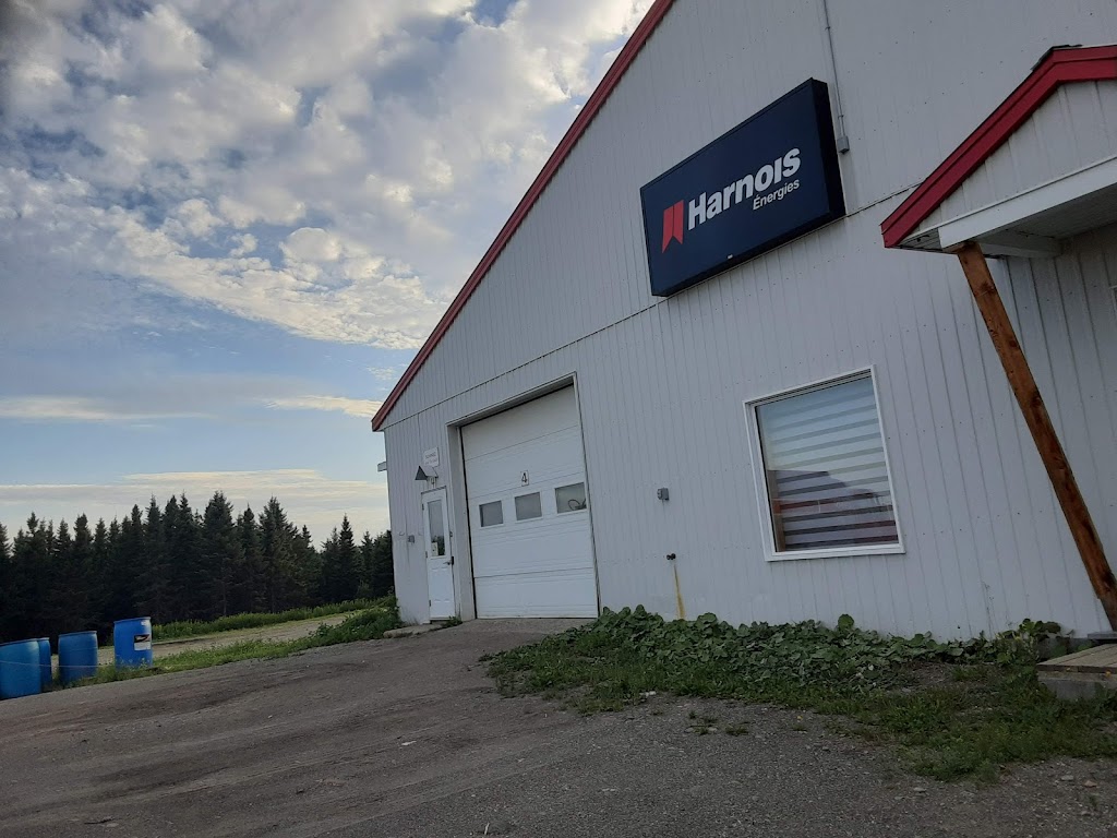 Petroles Turmel Inc | 146 Rue Madgin, Saint-Louis-du-Ha! Ha!, QC G0L 3S0, Canada | Phone: (418) 854-0808
