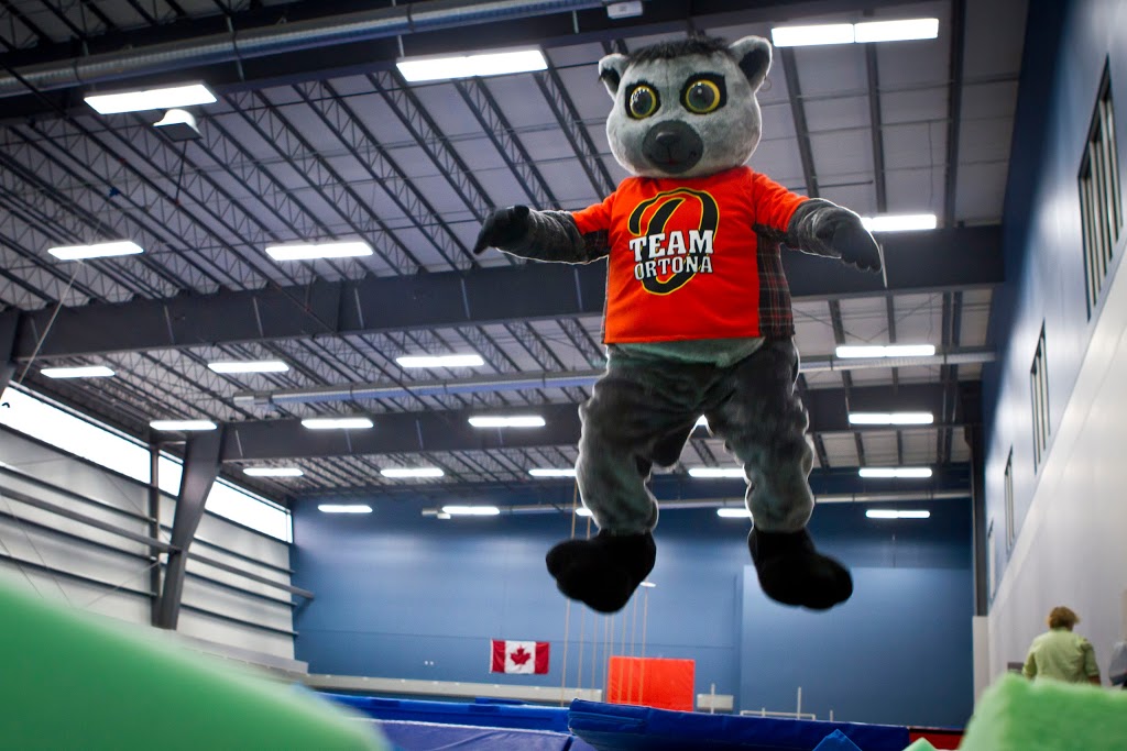 Ortona Gymnastics Club | Saville Community Sports Centre, 11610 65 Ave NW, Edmonton, AB T6G 2E1, Canada | Phone: (780) 492-7300